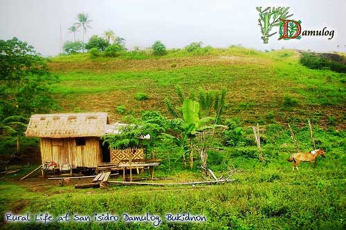 Philippines Bukidnon, Rural life at San Isidro Damulog