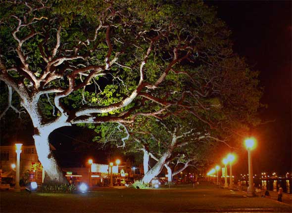 Philippines Dumaguete Boulevard