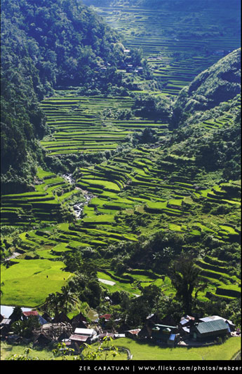 Philippines, Ifugao Rice Terraces