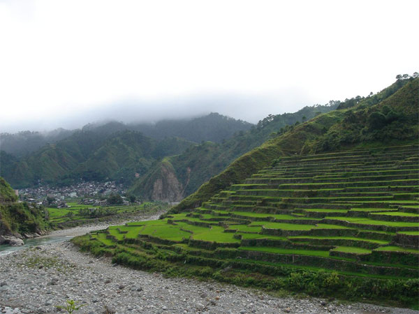 Philippines, Ifugao Rice Terraces