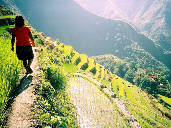 Philippines, Ifugao Rice Terraces