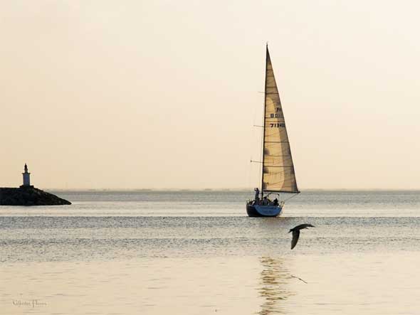 Philippines Manila Yacht Club Sailboat